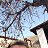 ���� �������, �����, 58 ��� - ��������� 17 ������ 2024