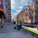 ������ ����� �� ������� ���� ����������