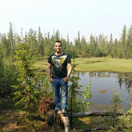 , 41, 