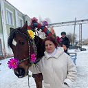  ,  , 64  -  26  2025