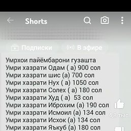 �������, �����-���������, 46 ���