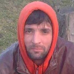 �����, �������, 47 ���