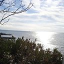 ���� ���������, ��������� - ��������� 7 ���� 2024 � ������ ������������� �����