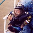 ���� Milf10000hunter, ������������, 96 ��� - ��������� 3 ������� 2024