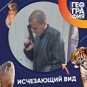 ���� �������, �������, 49 ��� - ��������� 3 ������ 2026 � ������ ���� ����������