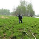 ���� ���������, �����������, 64 ���� - ��������� 3 ������� 2026 � ������ ���� ����������