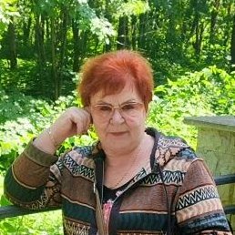 �������, �������, 66 ���