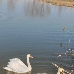 ���� ����, ����, 41 ��� - ��������� 28 ������ 2024
