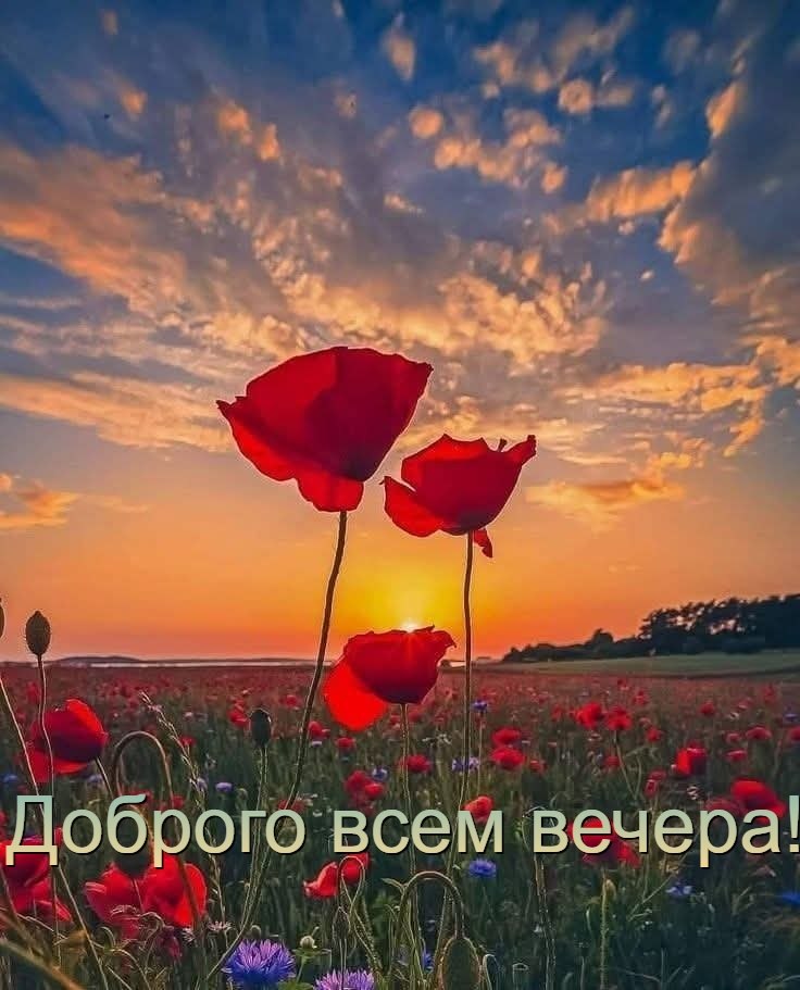   - 19  2025  17:49