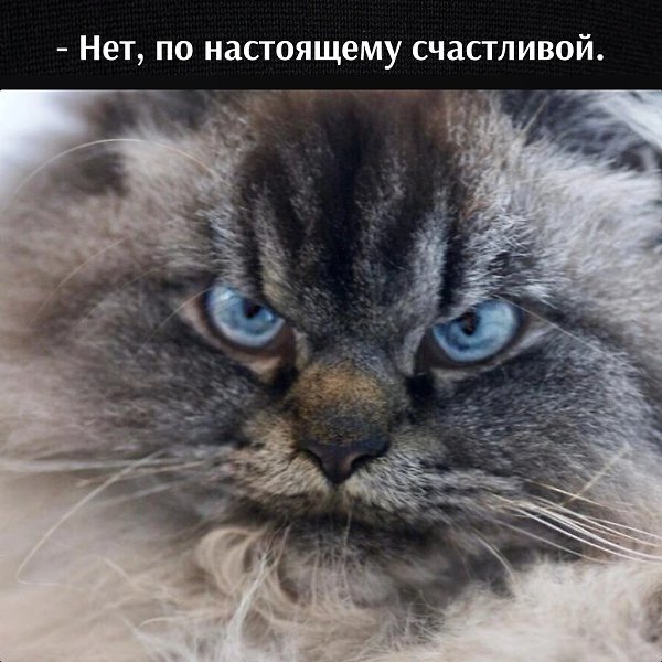 ��� ���� � ����� �� �� - 17 ������� 2026 � 14:02 - 3