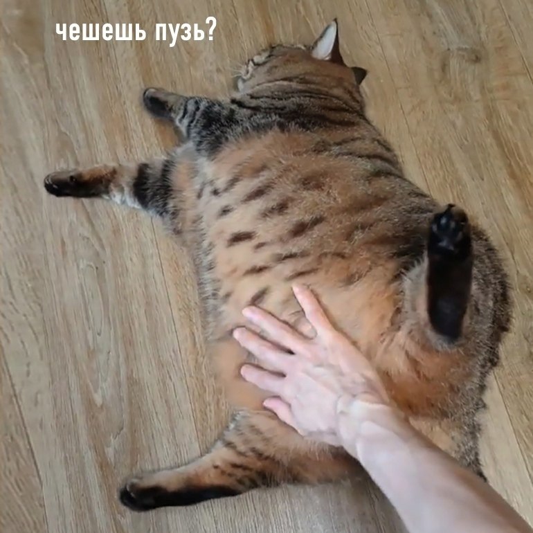 ������ ����������� �� ������ - 3