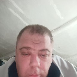 �����, 43 ����, ���������