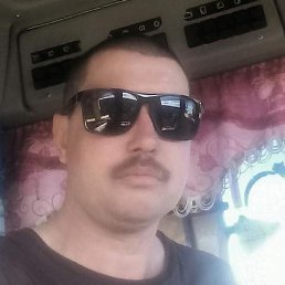 �����, �������������, 50 ���