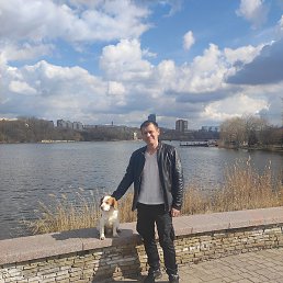Tarip, ������, 43 ����