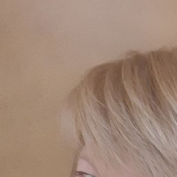 , , 54 