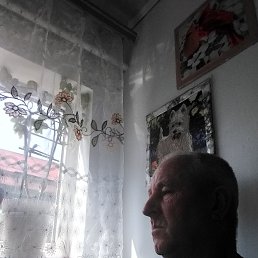 , 54, 