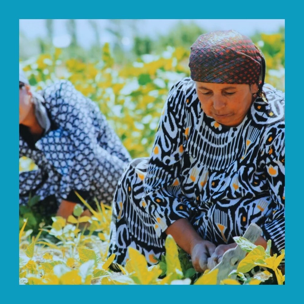 «Восхищаюсь, но жить так не смогу»: российская блогерша о женщинах Узбекистана.После поездки в ... - 3