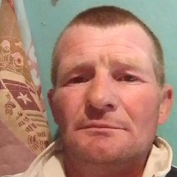 ������, �����������, 41 ���