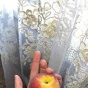 ���� ����, �������, 24 ���� - ��������� 28 ���� 2026 � ������ ���� ����������