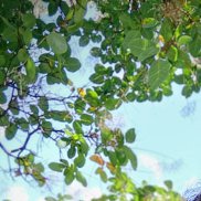 �����, 35 ���, ������������