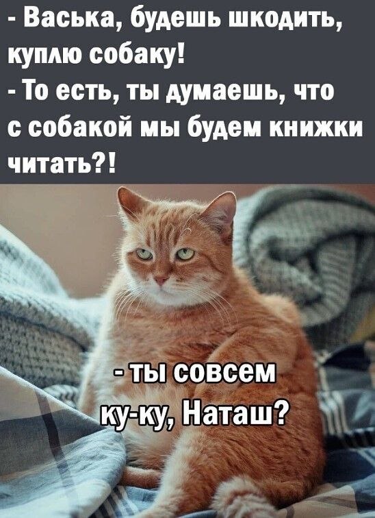   - 11  2025  22:41