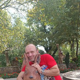 ���� �����, ������, 46 ��� - ��������� 17 ������ 2023