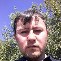 , 40, 