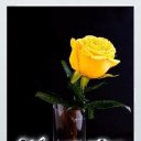 ���� ������, ����������� - ��������� 20 ������� 2025 � ������ ���� ����������