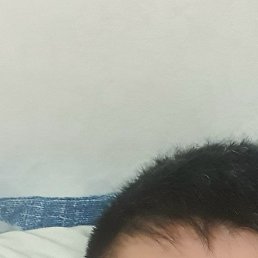 �����, ���������, 36 ���