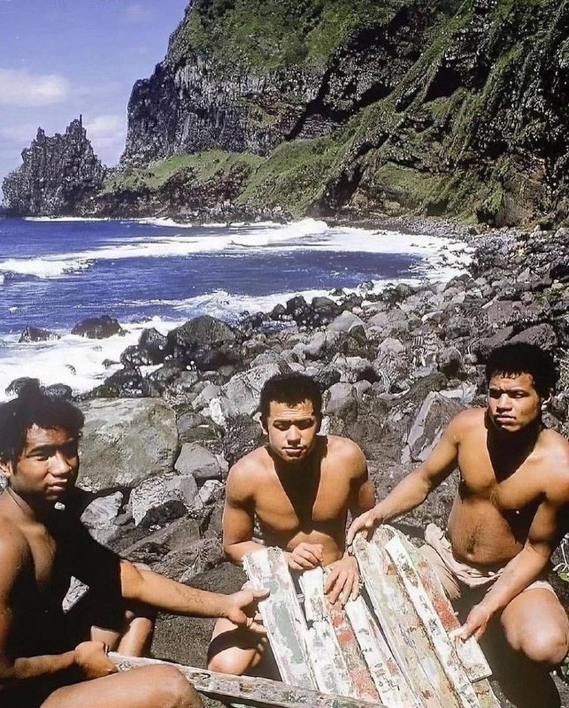  1966            .     ... - 3