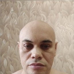 ������, ����-��, 47 ���