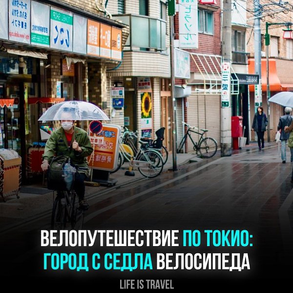 Токио – это не только небоскребы и технологии, но и уютные улочки, храмы и парки. Откройте для себя ...