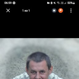 , 61, 
