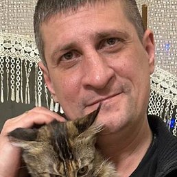 �����, ������, 38 ���