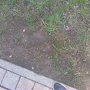 ���� �������, ��������, 52 ���� - ��������� 2 ��� 2026 � ������ ���� ����������