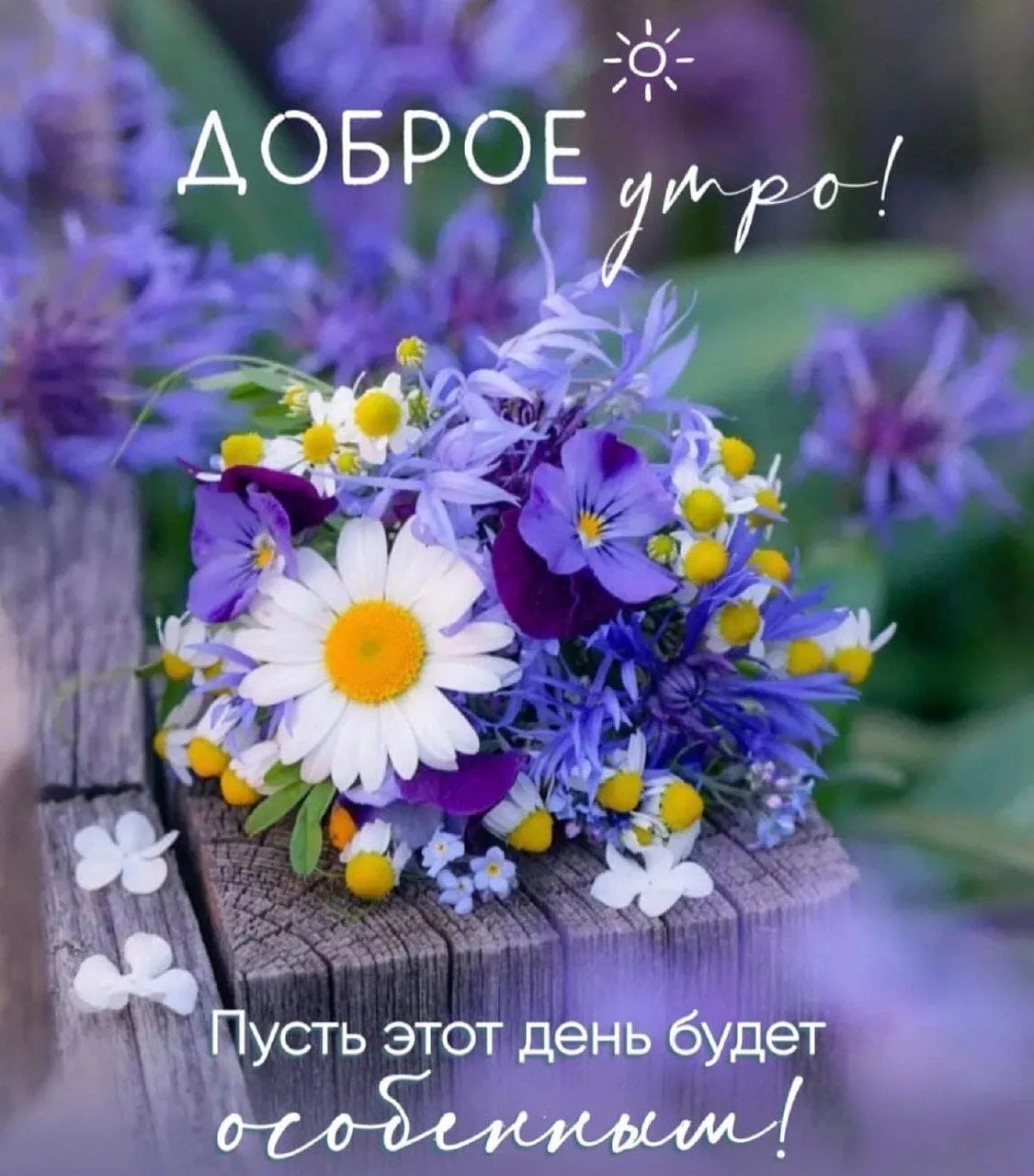   - 24  2025  06:03