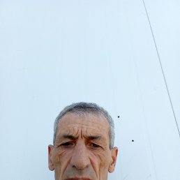 , 54, 