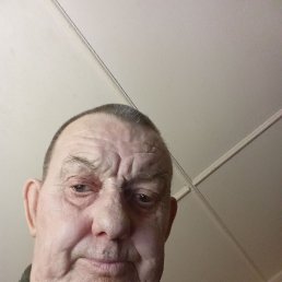 , 65, 