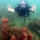 ���� ������, �����������, 56 ��� - ��������� 6 ������ 2024 � ������ ���� ����������