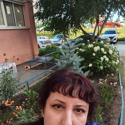 ���� ������, �������, 45 ��� - ��������� 4 ���� 2026