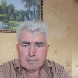, 66, 