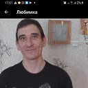 ���� �������, �������������-����������, 44 ���� - ��������� 7 ������ 2026