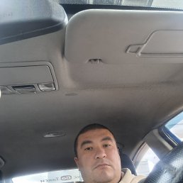 , 37, 