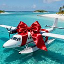 ���� ������, ������, 39 ��� - ��������� 13 ������ 2025 � ������ ���� ����������