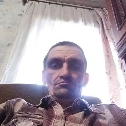 �����, 41 ���, ���������