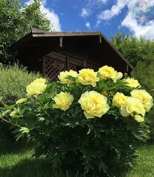 ���� � ������ ��� ���� �����.� � ���������, � � �����, � � ���������,� ���� � ����� ������� � ...