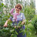 ���� ������, �������, 71 ��� - ��������� 4 ������ 2026 � ������ ���� ����������