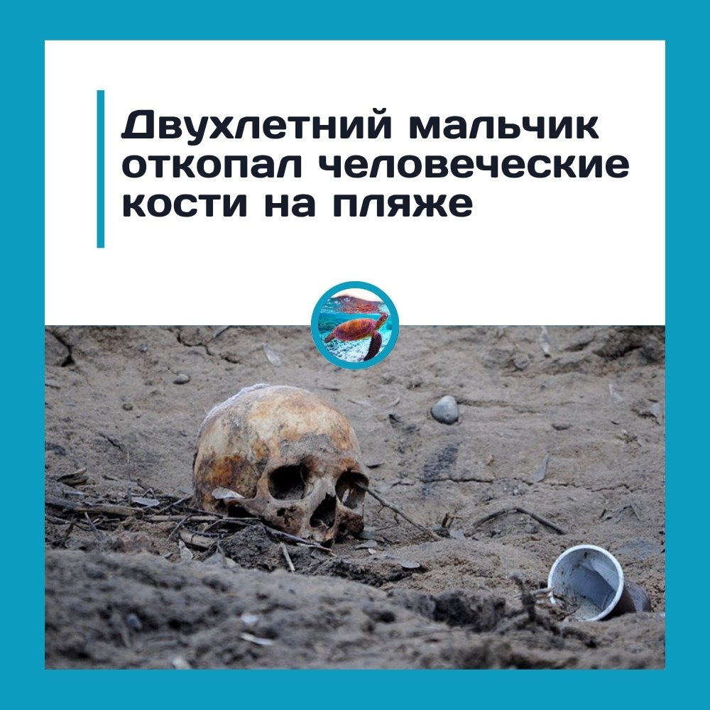 Двухлетний мальчик выкопал человеческие кости на пляже в Великобритании.Отдых на Сонтон-Сэндс ...