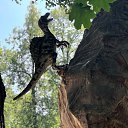 ���� ������, ����������� - ��������� 19 ���� 2025 � ������ ���� ����������