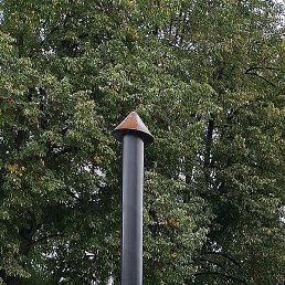 ��������, �������, 63 ����